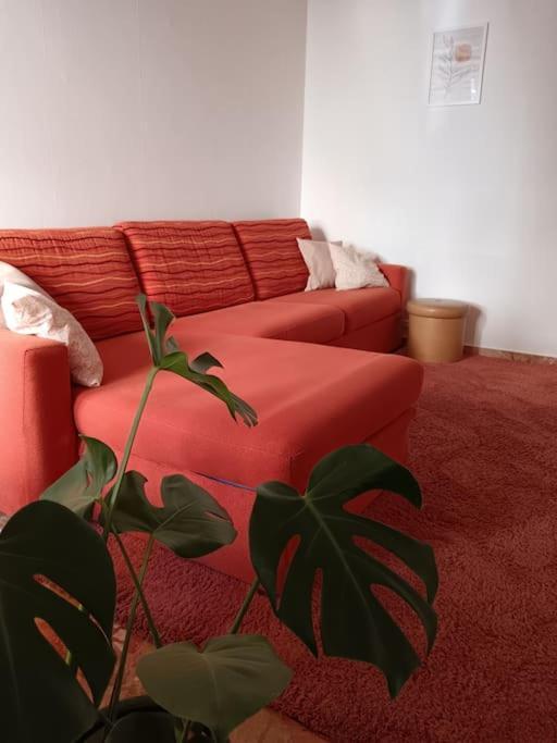 Forti Genova-Free Parking Castellaccio Apartment Exterior foto